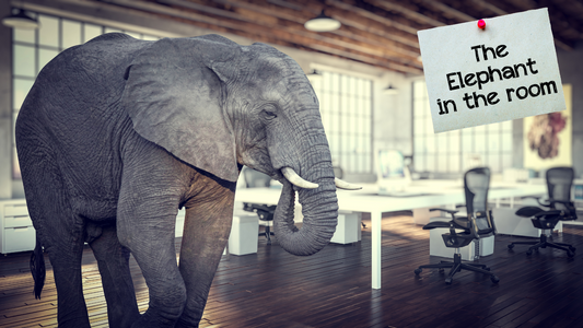 When the Elephant Enters the Room:Facing Hard Truths with God’s Wisdom