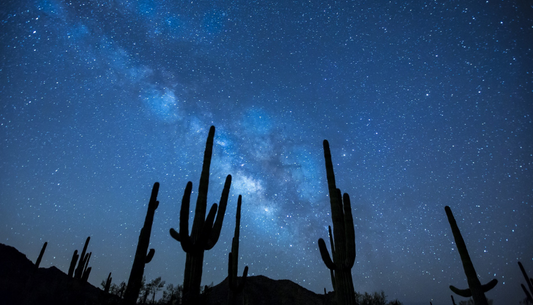While You Wait: What God Is Teaching You